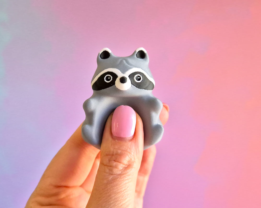 Raccoon Worry Stone