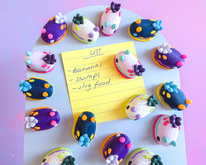 Sea Slug Magnet Set
