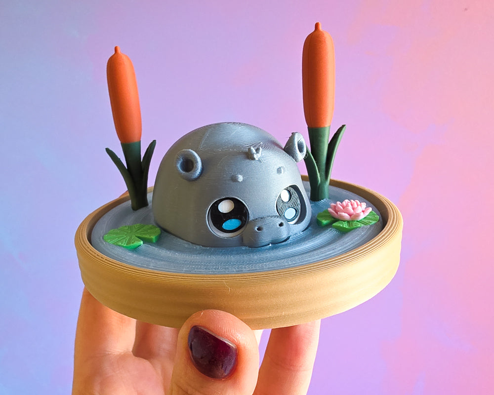 Hippo Footling + Pond