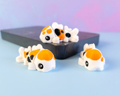 Koi