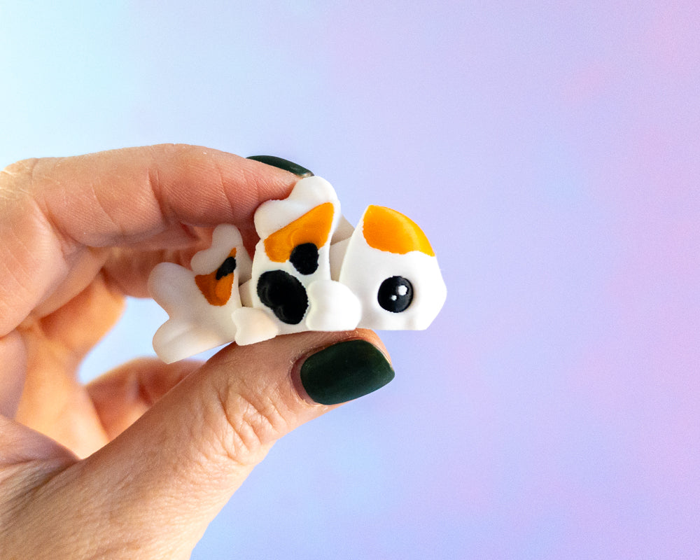 Koi