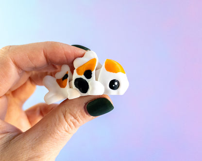 Koi