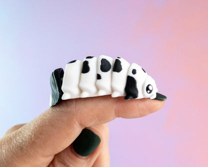 Slater [Cow Isopod]