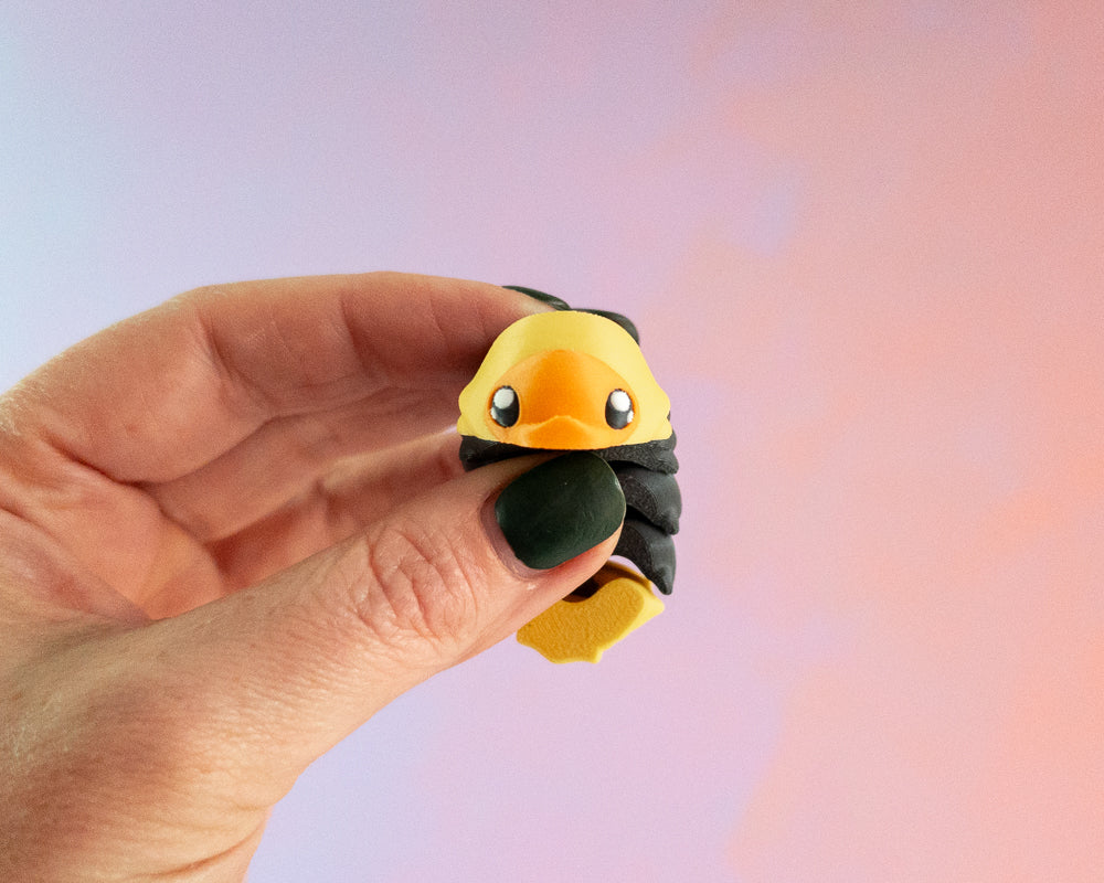 Slater [Rubber Ducky Isopod]