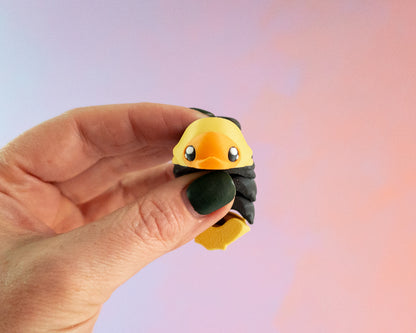 Slater [Rubber Ducky Isopod]