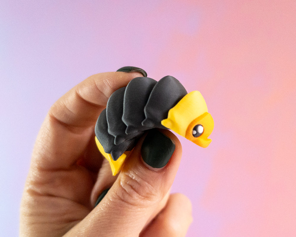 Slater [Rubber Ducky Isopod]