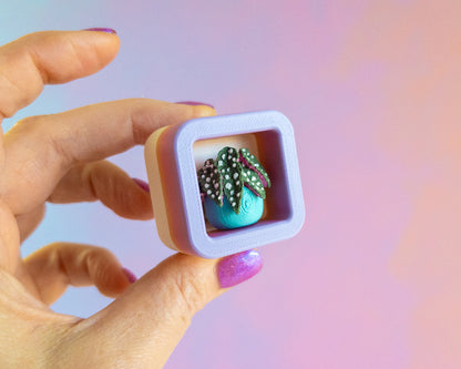 Plant Nook Clickers [Sunset]