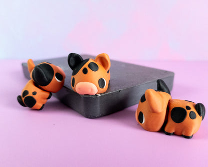 Mini Oink [Spotted]