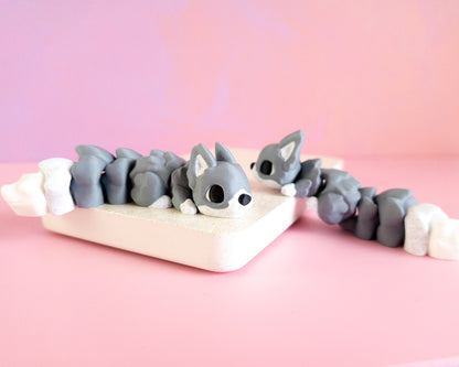 Squirrel [Grey]