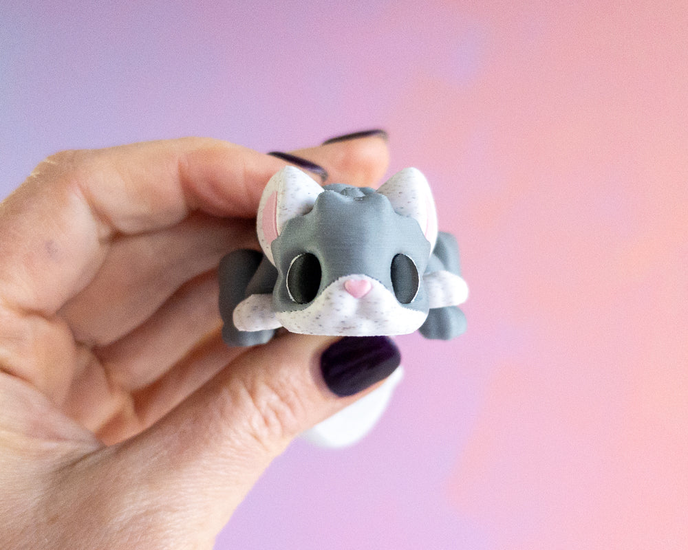Chinchilla
