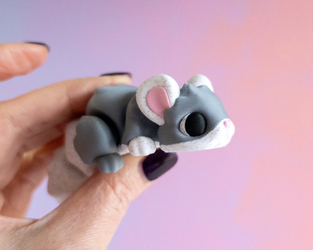Chinchilla