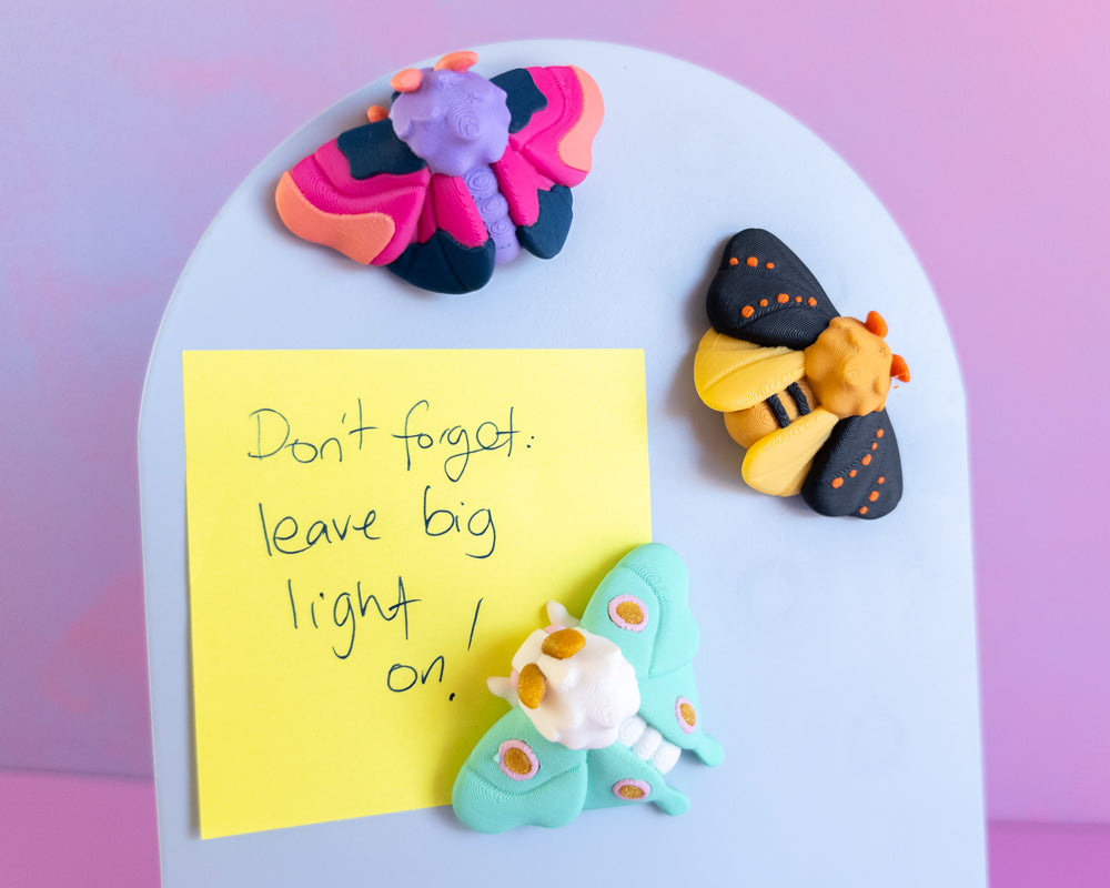 Moth Magnet Set