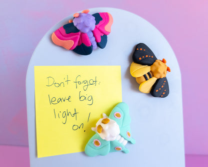 Moth Magnet Set