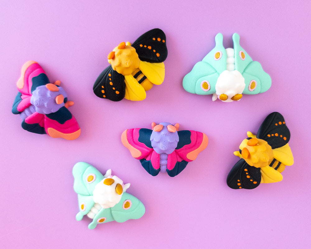 Moth Magnet Set