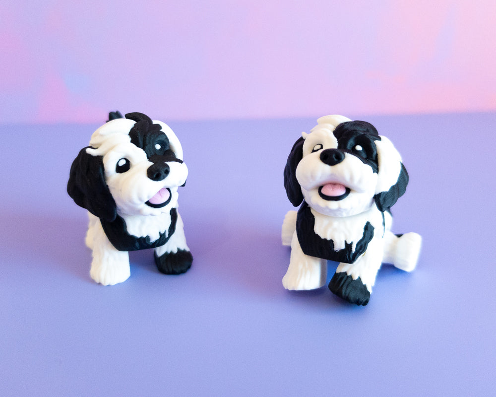 Dog [Black & White]