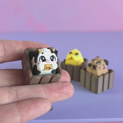 Farmyard Solo Clickers